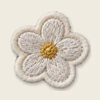 Daisy Flower