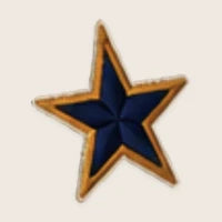 Navy & Gold Star
