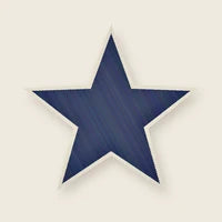 Navy Star